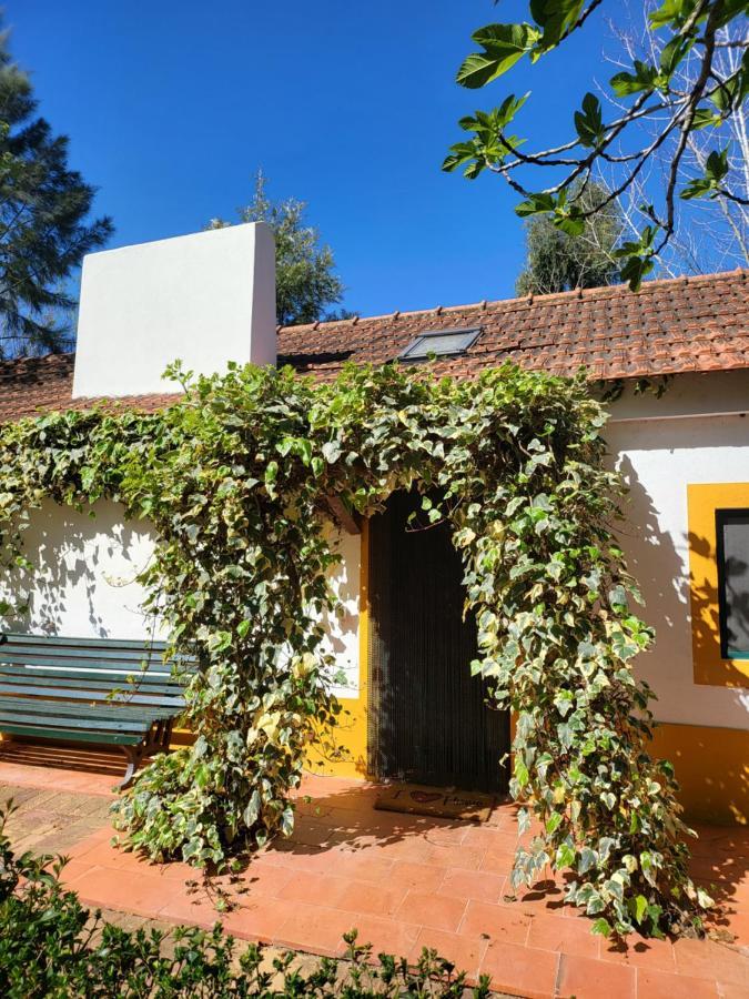 Quinta Da Mimosa Hotel Fajarda Bagian luar foto